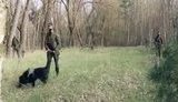 Кінологи 1-ї Президентської бригади залучені до антидиверсійної операції в Чорнобильській зоні, - Нацгвардія. ВIДЕО