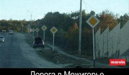 Дорога в Межигорье