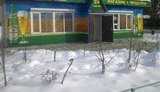 По призыву Попова киевские предприниматели убрали территории, на которых работают. ФОТОрепортаж