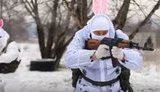боевики-зайчики