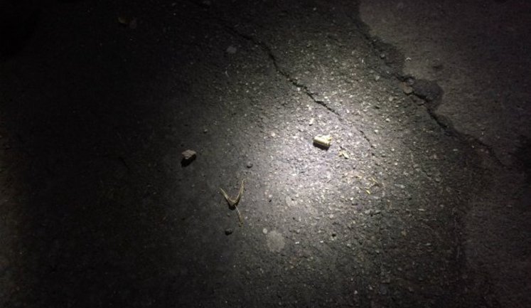 Неизвестные устроили стрельбу под стрипклубом на Подоле в Киеве. ФОТО