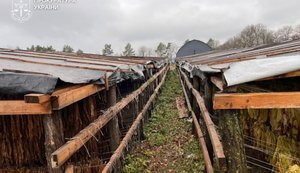 Подпольное производство табака на сумму более ₴25 миллионов раскрыли правоохранители Хмельницкой области. ФОТОРЕПОРТАЖ