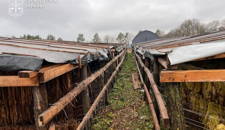 Подпольное производство табака на сумму более ₴25 миллионов раскрыли правоохранители Хмельницкой области. ФОТОРЕПОРТАЖ