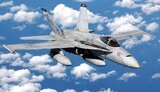 hornet,f/a-18