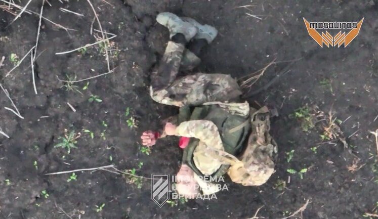It looks like fireworks: Third Assault Brigade showed footage of destruction of enemy infantry using drones in Kharkiv region. VIDEO