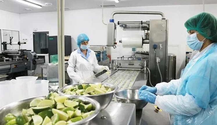 Переробна промисловість та торгівля забезпечили 35% надходжень до бюджету, ‒ ДПС