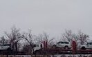 обсє