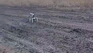 Украинские бойцы нейтрализовали российский FPV-дрон на оптоволокне. ВИДЕО