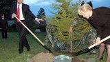 Политсовет Партии регионов исключил Богатыреву из партии - секретарь Совбеза изменила Януковичу с Ющенко