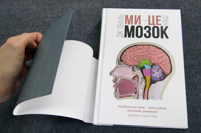 мозок2