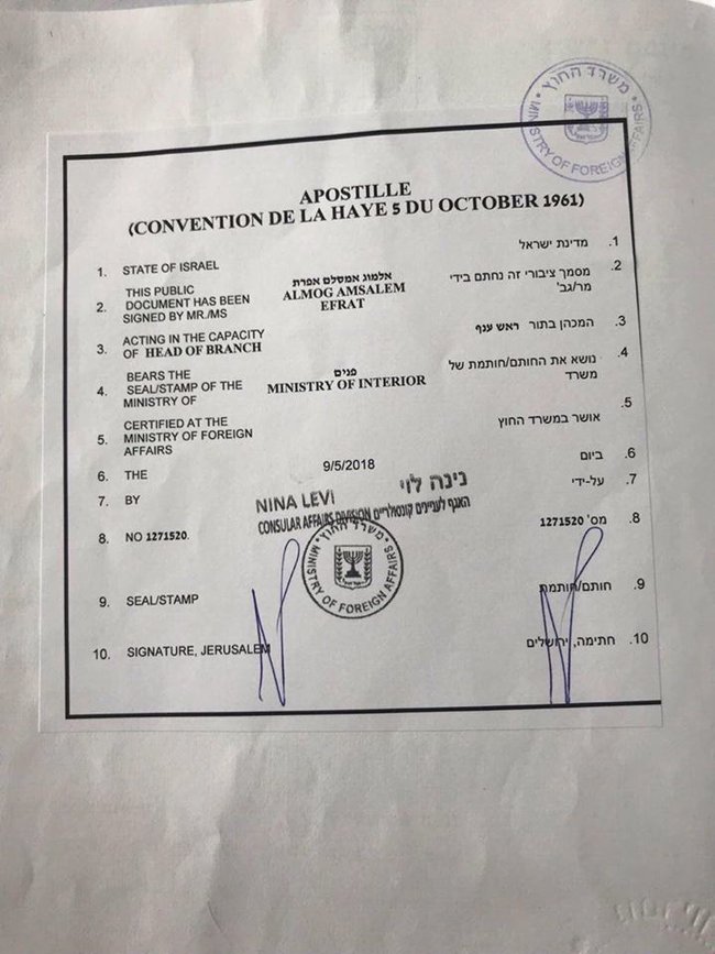 У Державну міграційну службу направлено заяву про позбавлення нардепа Рабіновича громадянства України 05
