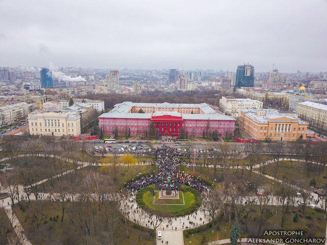 Марш за импичмент с высоты птичьего полета 06