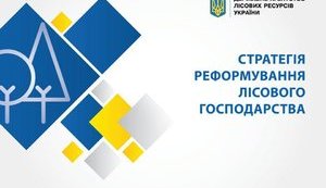 В Украине уменьшится количество госслужащих в связи с реформированием лесной отрасли, - Юшкевич