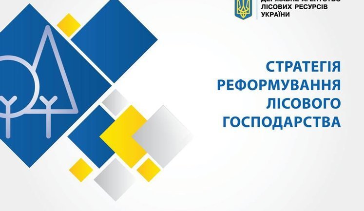 В Украине уменьшится количество госслужащих в связи с реформированием лесной отрасли, - Юшкевич