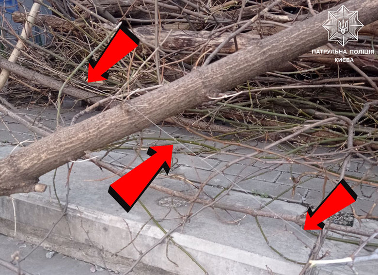 In center of Kyiv found stretching with grenade - patrol police 02