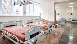 Ukraine and Austria signed agreement on economic cooperation, including establishment of rehabilitation center in Lviv, - Svyrydenko. VIDEO