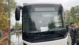 З окупованих Олешків до України виїхали 17 автобусів з людьми, до Росії - лише чотири, - ЗМІ