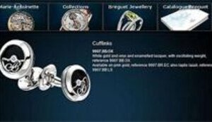 Литвин сэкономил на коммуналке и купил запонки "Breguet" за 34000 гривен. ФОТО