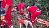 дерево впало на дітей
