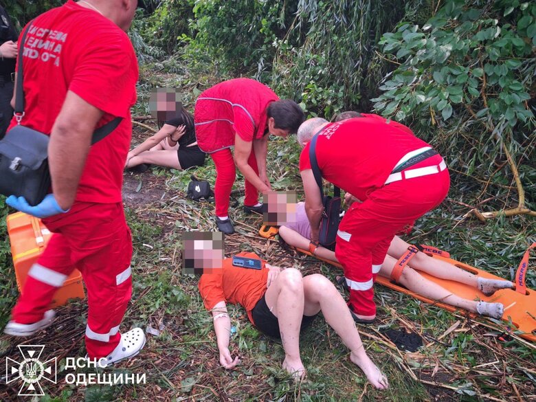 дерево впало на дітей
