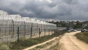 Крупнейший тепличный комбинат оккупированного Крыма остановил работу из-за дефицита топлива
