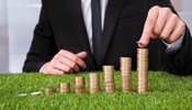 За рік ціни на сільгоспземлю в Україні зросли майже на 13%: де найдорожчі ділянки?
