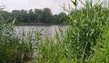 озеро,опечень