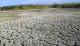 Вопрос водоснабжения Крыма позволит ускорить деоккупацию полуострова, - представитель президента в АРК Кориневич