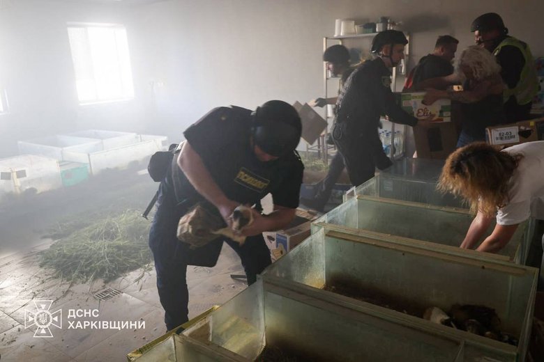 Ворог атакував зоопарк у Харкові 15 червня