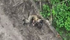 Дрон з тепловізором скидає ВОГи на російських окупантів. ВIДЕО