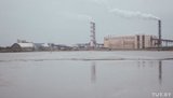Працівники ще двох білоруських підприємств приєдналися до страйку