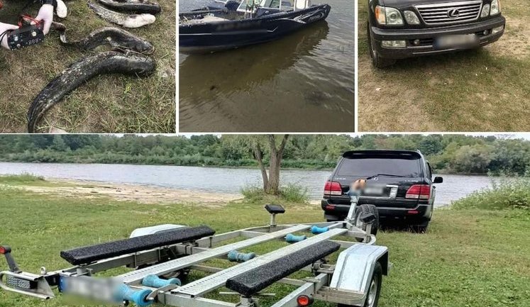 Власники "Лексусів" скинули на Десну моточовен Finval й струмом вибили понад два десятки молодих сомів (оновлено)