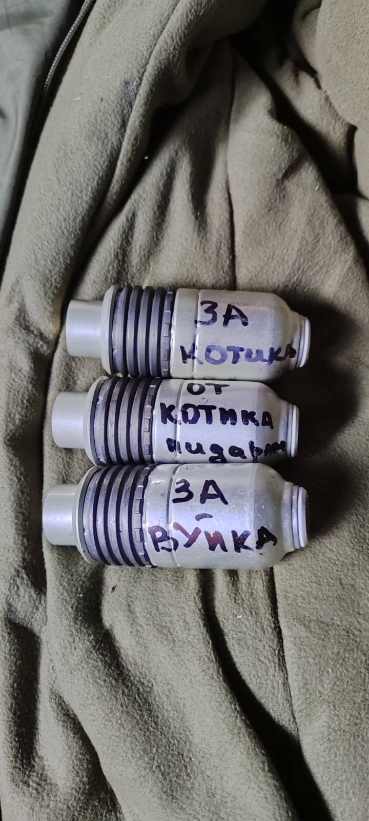 рогачевський