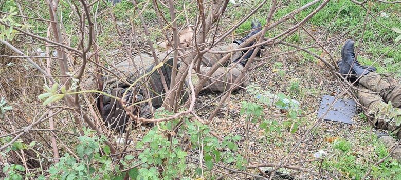 Russians abandoned bodies of dead Chechens during retreat from Kherson region 11 Russians abandoned bodies of dead Chechens during retreat from Kherson region 11