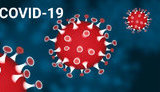 Ukrainian army reports more than 50 coronavirus cases