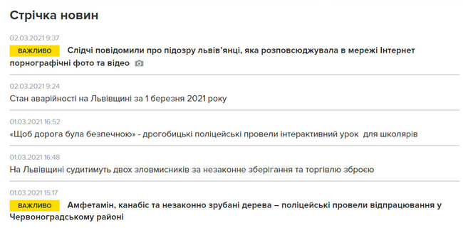 Полиции не понравились интимные фото 27-летней львовянки: отдают под суд за порнографию 04