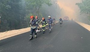 ОБСЄ допомогла узгодити з найманцями РФ "тишу" для гасіння пожеж, - Наєв