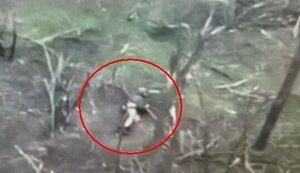 Окупант загубив штани на полі бою у Кринках. ВIДЕО 18+
