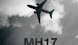 Австралія і Нідерланди офіційно звинуватили Росію у знищенні МН17