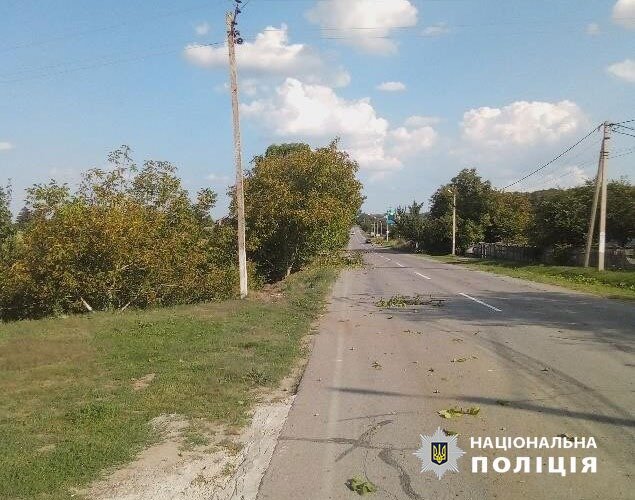 П'яний священник на Буковині скоїв ДТП та напав на патрульну