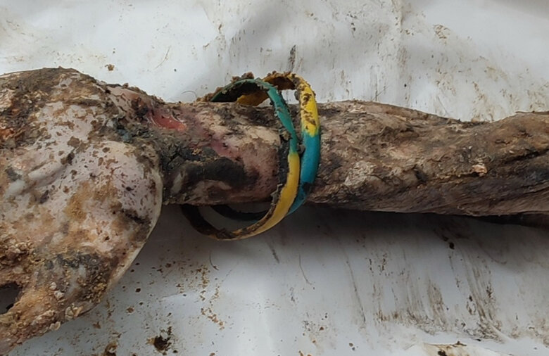 An arm with blue and yellow bracelets from a burial in Izyum - a fragment of military man from Nikopol, a 36-year-old soldier of 93rd Brigade Kholodny Yar Serhiy Sova 01