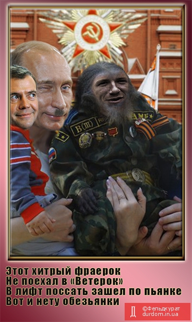 днр