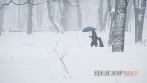 Снігопад в Україні: знеструмлено 170 населених пунктів у 6 областях, - ДСНС