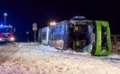 У Німеччині перекинувся автобус, де була українка