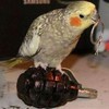 Вадим Maluga