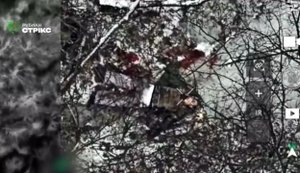 Strix attack drones eliminate group of occupiers hiding under bridge in Kharkiv region. VIDEO
