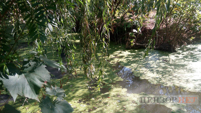 Тихі канали, швидка річка і дунайський оселедець - весна і осінь у Вилковому 12 Тихі канали, швидка річка і дунайський оселедець - весна і осінь у Вилковому 12