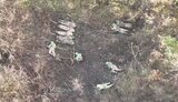 полонені