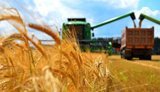 Ограничения для украинского агросектора в ЕС должны быть временными, - Ченцов
