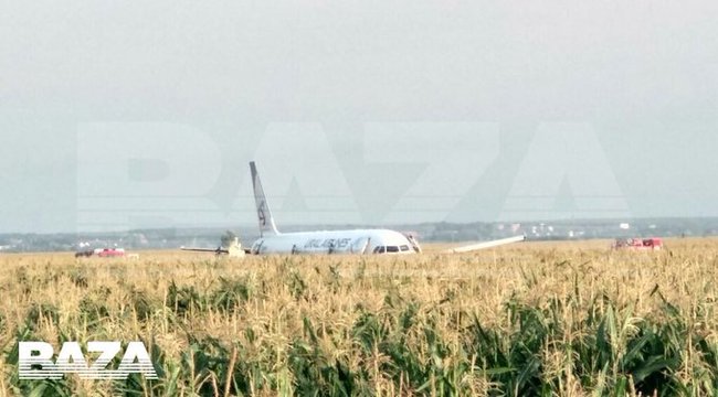 Crimea-bound passenger jet makes emergency landing in cornfield near Moscow 03
